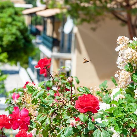 Apart Hotel Blumarin Agios Gordios  Zewnętrze zdjęcie