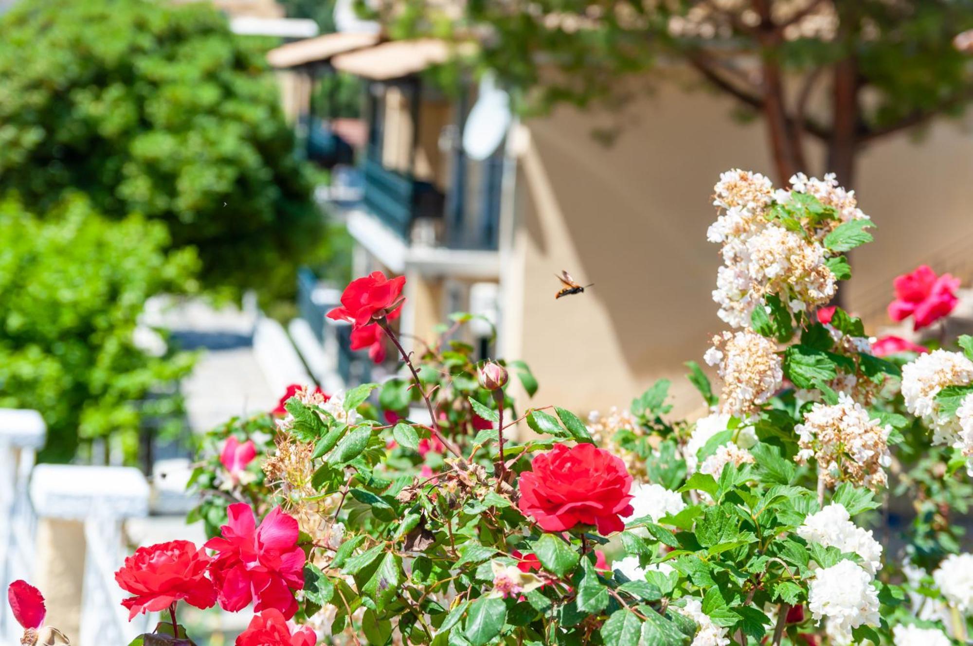 Apart Hotel Blumarin Agios Gordios  Zewnętrze zdjęcie